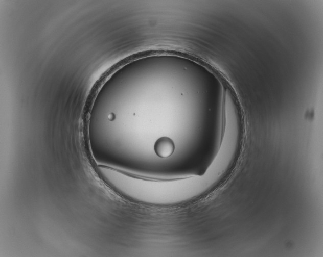 X0000111170928200907151255