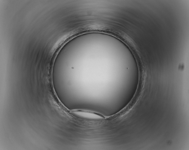 X0000111170930200907151255