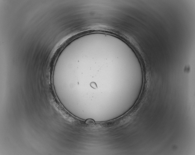 X0000111170931200907151255