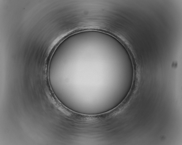 X0000111170933200907151255