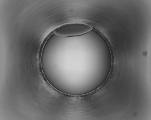 X0000111170936200907151255