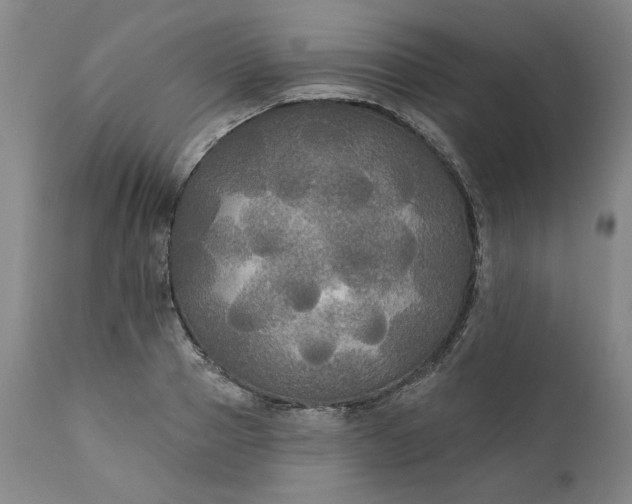 X0000111170937200907151255