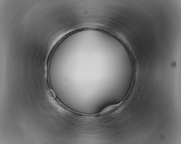 X0000111170940200907151255