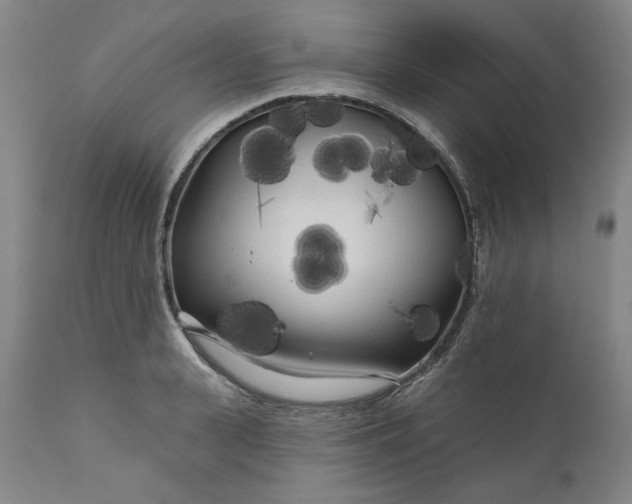 X0000111170943200907151255