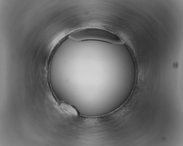 X0000111170944200907151255