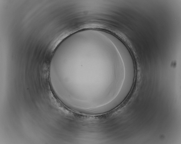 X0000111170945200907151255