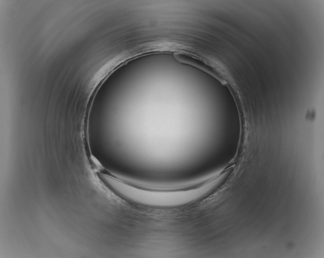 X0000111170946200907151255