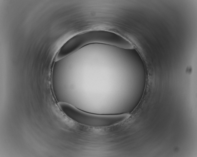 X0000111170948200907151255