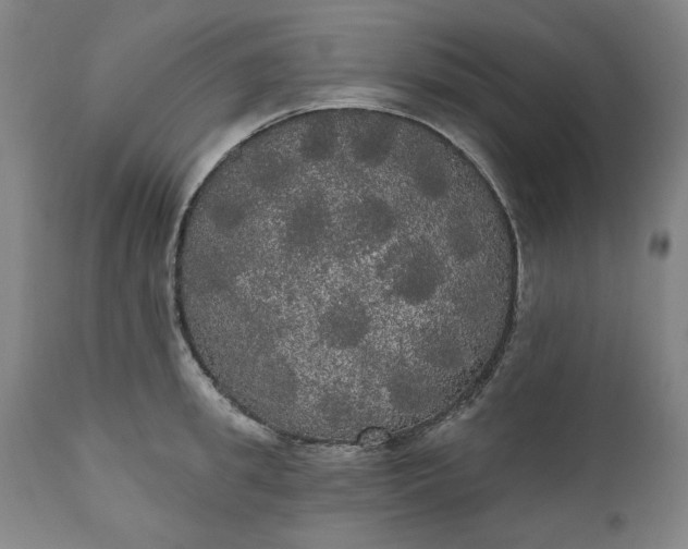 X0000111170949200907151255