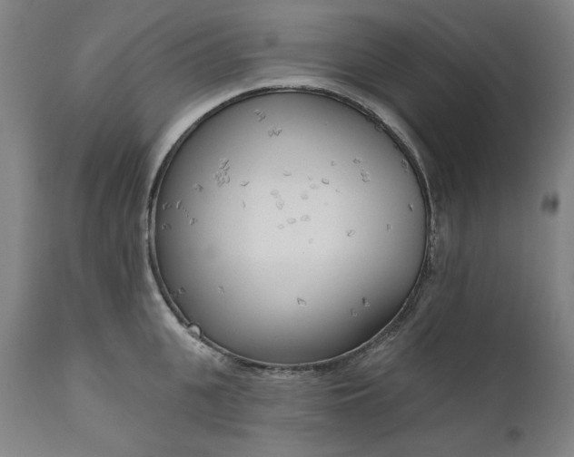 X0000111170951200907151255