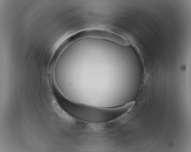 X0000111170952200907151255