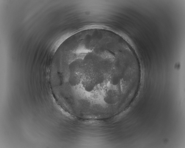 X0000111170953200907151255