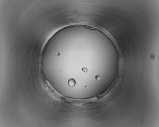 X0000111170956200907151255