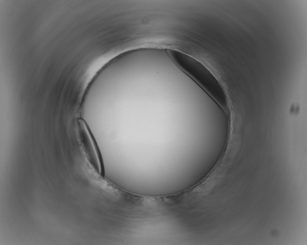 X0000111170960200907151255