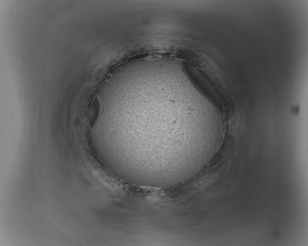 X0000111170961200907151255