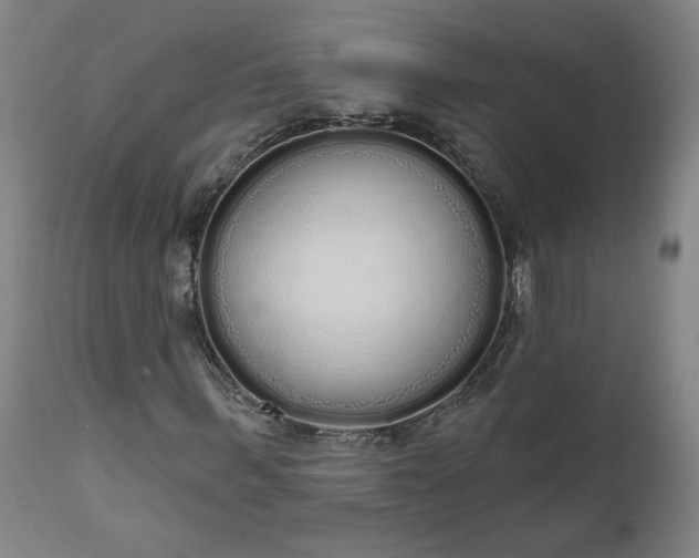 X0000111170963200907151255