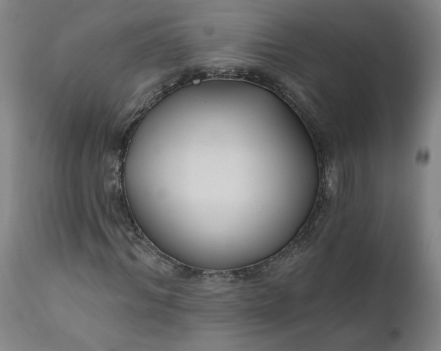 X0000111170964200907151255