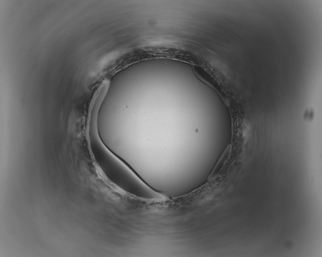 X0000111170965200907151255