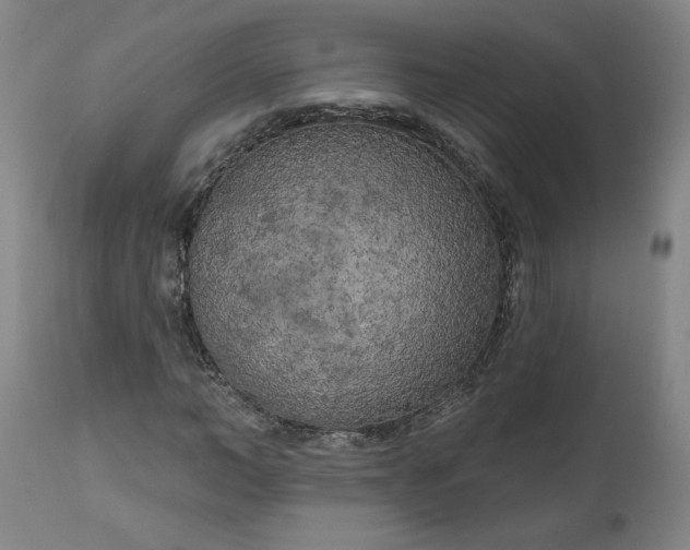 X0000111170966200907151255