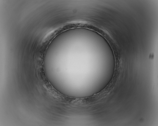 X0000111170967200907151255