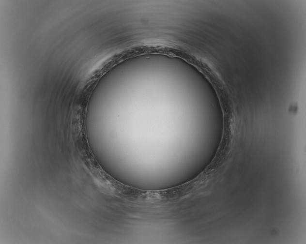 X0000111170968200907151255