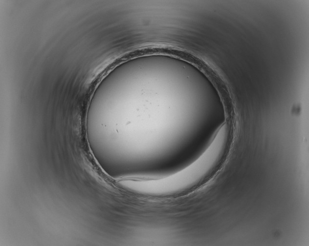 X0000111170969200907151255