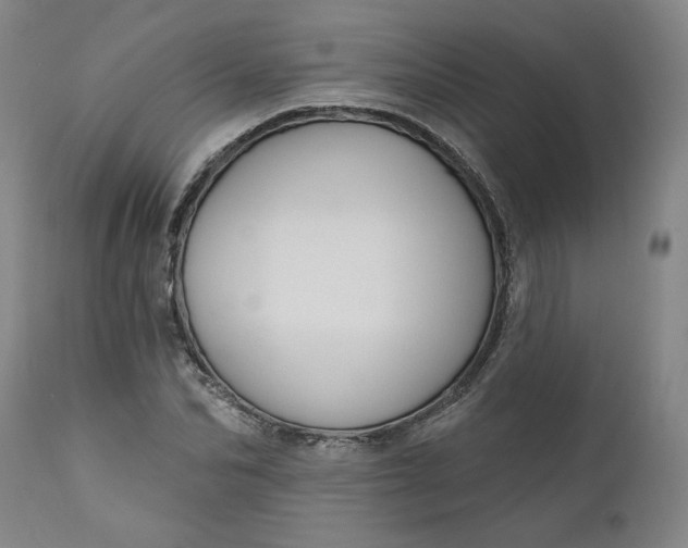 X0000111170974200907151255