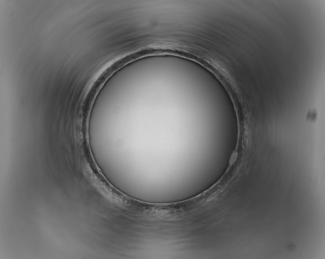 X0000111170976200907151255