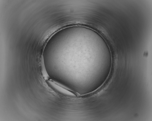 X0000111170977200907151255