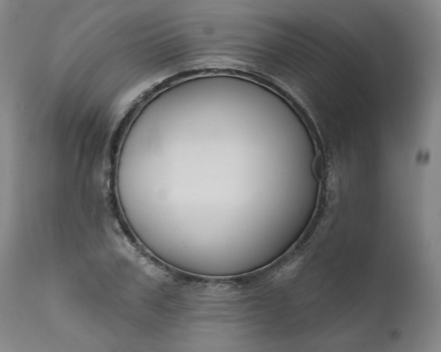 X0000111170979200907151255