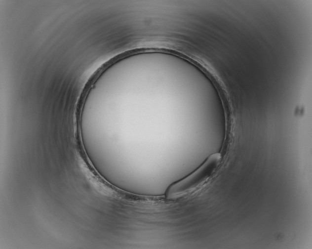 X0000111170980200907151255