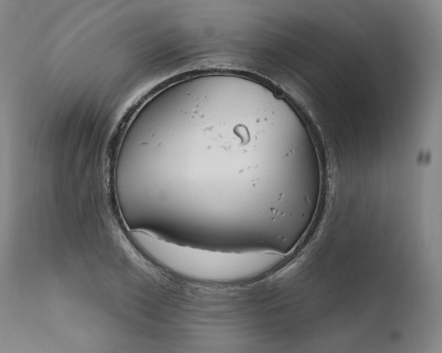 X0000111170981200907151254