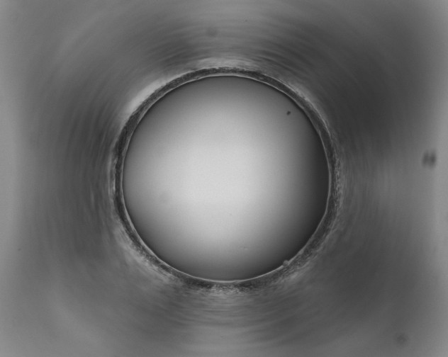 X0000111170983200907151254