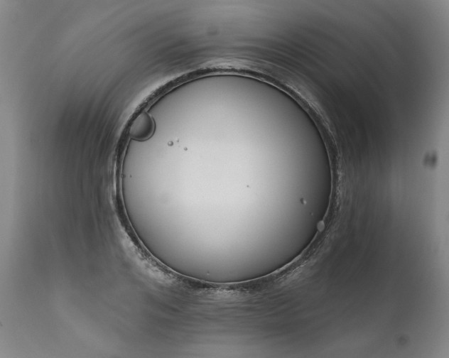 X0000111170984200907151254