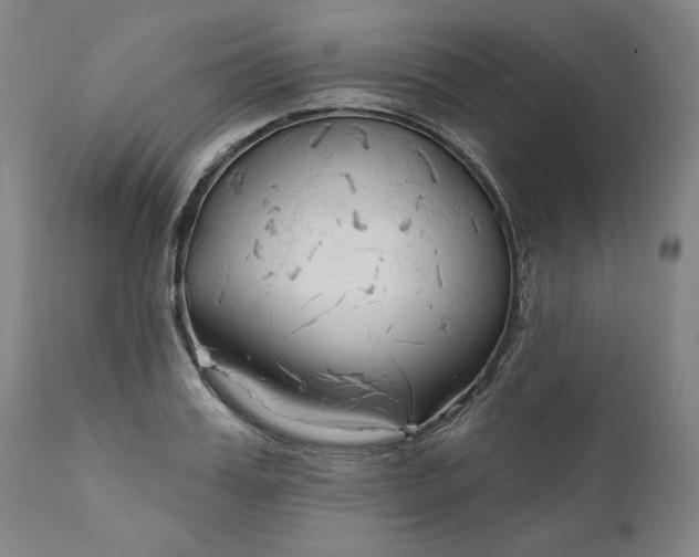 X0000111170987200907151254