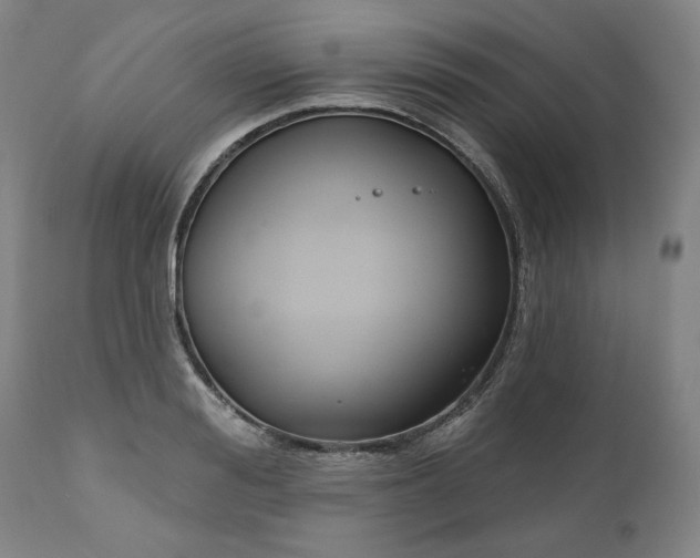 X0000111170988200907151254