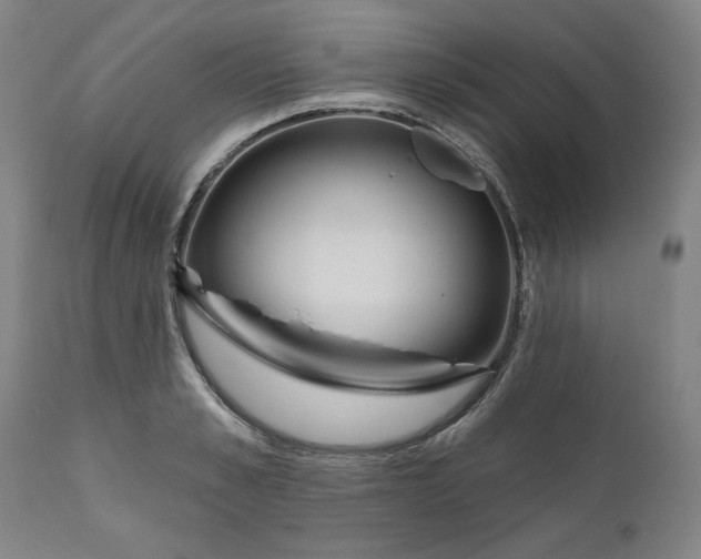 X0000111170989200907151254