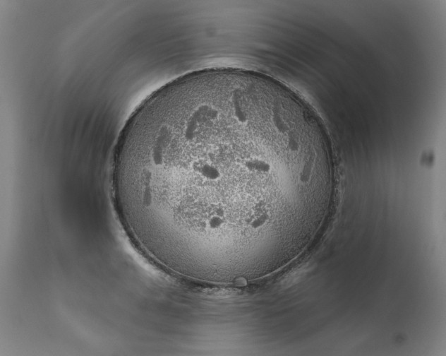 X0000111170991200907151254