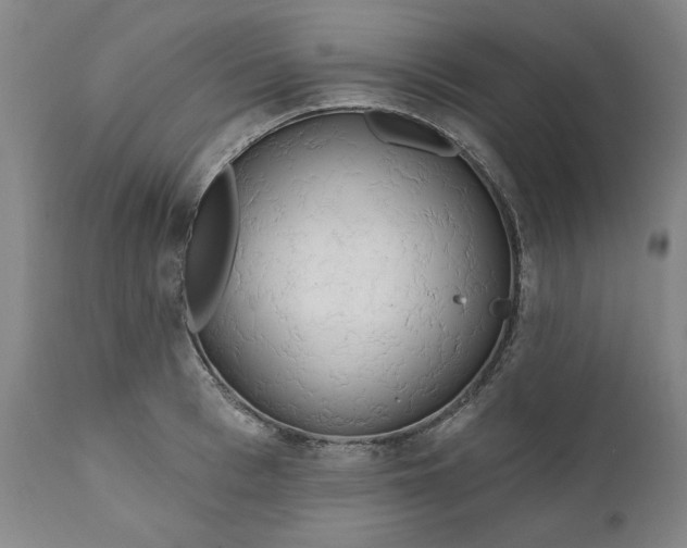 X0000111170993200907151254