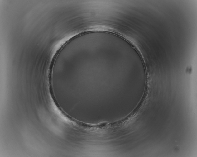 X0000111170995200907151254