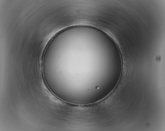 X0000111170996200907151254