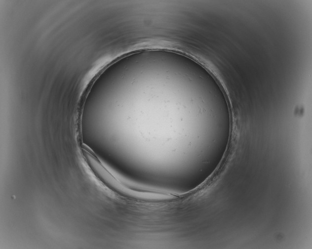 X0000111170997200907151254