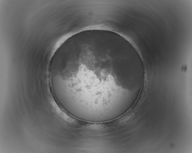 X0000111170998200907151254