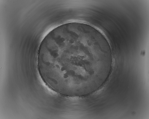 X0000111170999200907151254