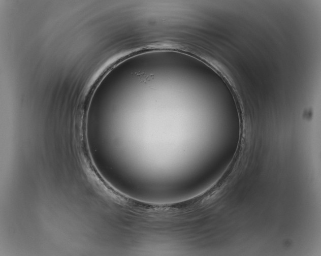 X0000111171000200907151254