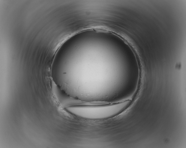 X0000111171001200907151254