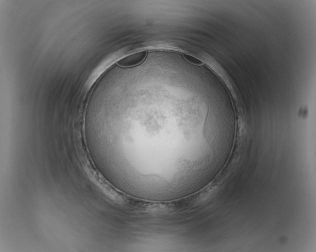 X0000111171002200907151254