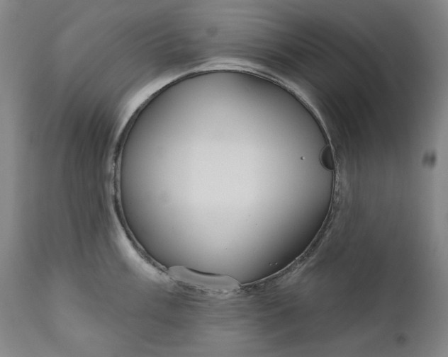 X0000111171003200907151254