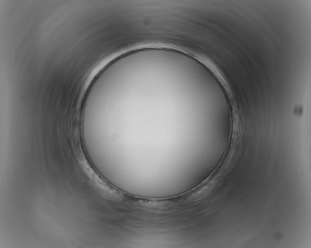 X0000111171004200907151254