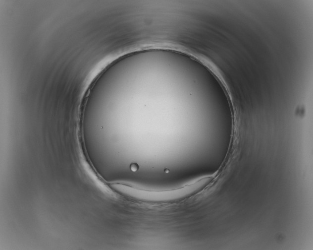 X0000111171005200907151254